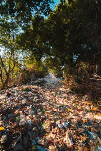 River of plastic trash in trees