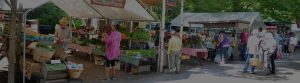 Shopping at Brattleboro Farmers Market